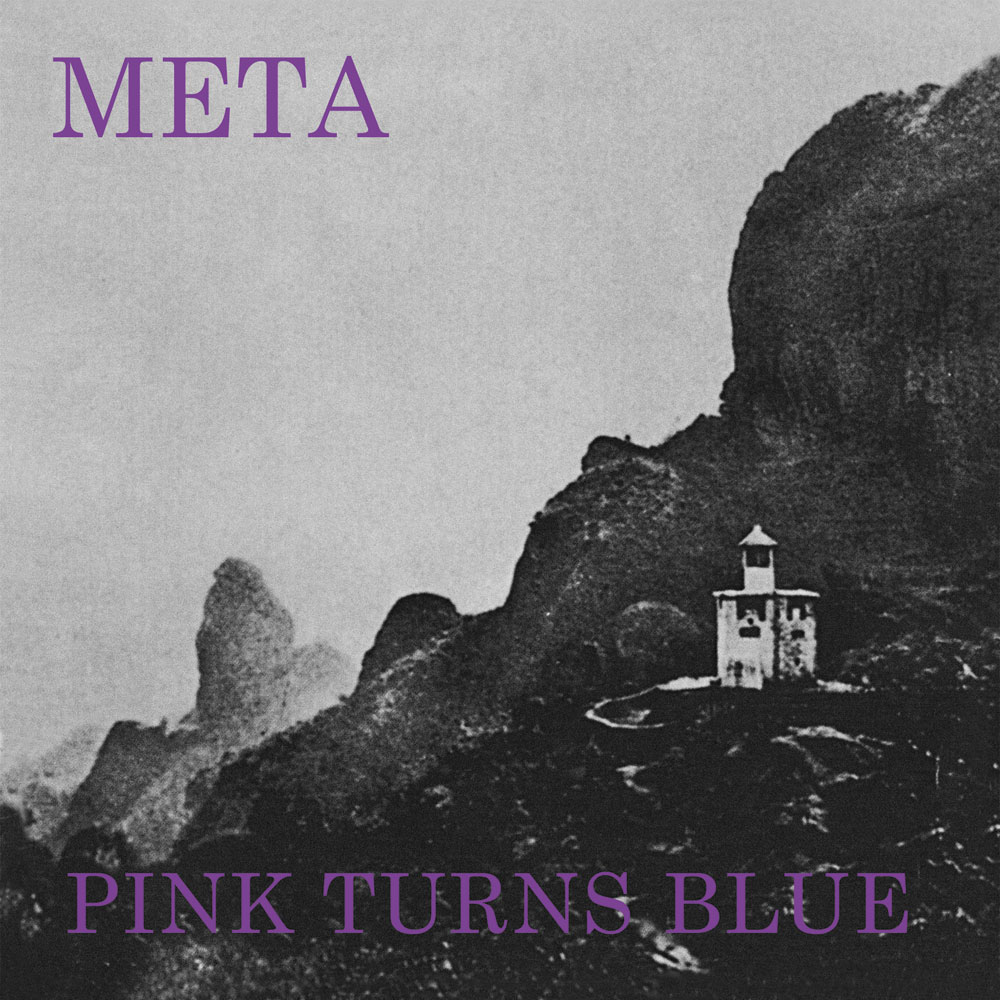 PINK TURNS BLUE - Meta (1988)